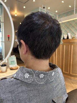 アンフィ 矢向(Anphi) 4-31 ショート