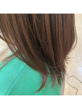 シャンプーボーイ ミディアムウルフ♪