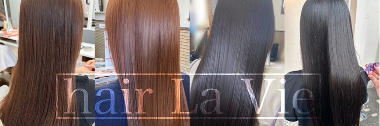 ヘアラヴィ(hair La Vie)のサロンヘッダー