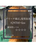 ヴィオラスバイポッシュ ギンザ(Violus by Posh GINZA) ブリーチ矯正by髪質改善