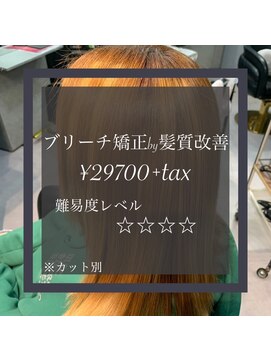 ヴィオラスバイポッシュ ギンザ(Violus by Posh GINZA) ブリーチ矯正by髪質改善