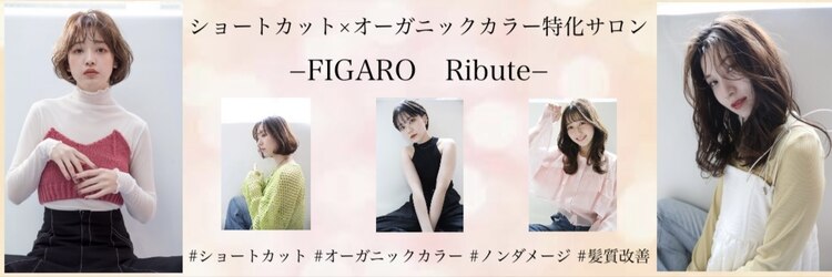 フィガロリビュート(figaro Ribute)のサロンヘッダー