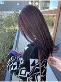 やわらかいラベンダー