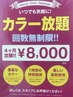 【新規限定】カット +リタッチ4ヶ月6回カラーパスポート+3stepTR ￥11000