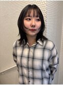 ミディアムウルフ