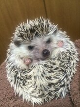 スロウヘアーナチュラル 川崎店(slow hair natural)&nbsp;slow 