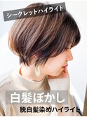 白髪ぼかしハイライトベージュカラーコンパクトショート