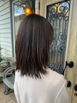 チョコレート(chocolate) ソフトウルフ