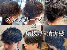 ニト(nito.)