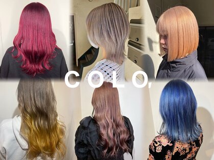 コロ(COLO)の写真