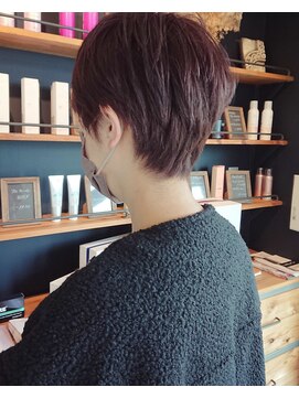 アンスリウム(anthurium) ベリーショート