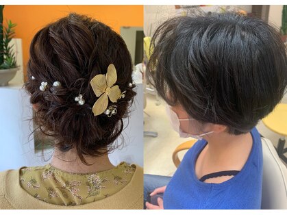 イーズ(ease)の写真