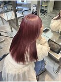 ピンクワインレッド 「西村 向日葵」