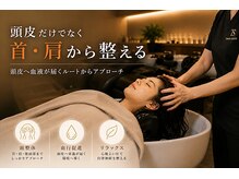 TRANS SALON 吉祥寺　白髪染め/白髪ぼかし/AI頭皮診断の雰囲気（ジアミンフリーのオーガニックカラーと頭整体を組み合わせ）