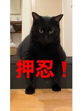 ヘアネイル ジェム(hair nail gem)&nbsp;YUKI 