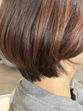 本と南風 guest design