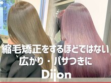 ディジョン 自由ヶ丘(Dijon)