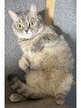 シュシュ(Chou-Chou) 猫を２匹飼ってます！可愛すぎて毎朝の出勤に支障が出ます笑