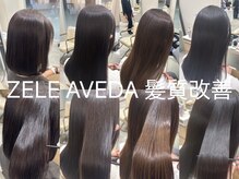 ゼル アヴェダ 大宮店(ZELE AVEDA)