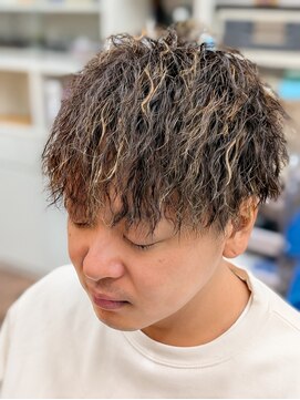 トリイ(TORII) ツイスパ・2ブロマッシュ