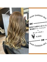 アイリス(IRIS)&nbsp;ハイライト