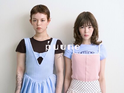 プーネ(puune)の写真