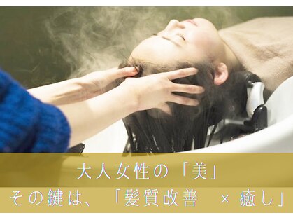 トリート(TREAT)の写真