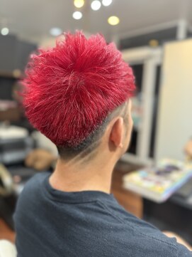 アンソル(&S.O.L) ラインレッドヘアー