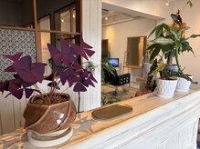 ヘア サロン レリュー(Hair salon LeRyu)