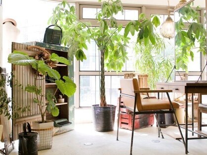 アルス(ARLS)の写真