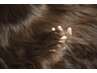 もうこれ以上のケアはありません。cut+color+treatment