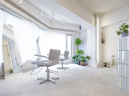 キキ(kiki)の写真