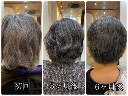 アルテマ(altema)の写真