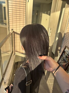 ダークラベンダー/ワンカラー