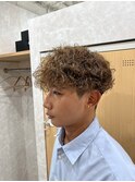 ブラウンスペインカール