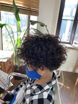 ウィル ボッサ 御茶ノ水 神保町(WILL bossa)&nbsp;ワイルドボーイ