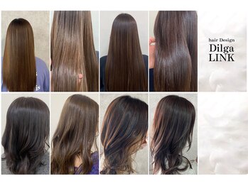 Dilga LINK【ディルガ リンク】