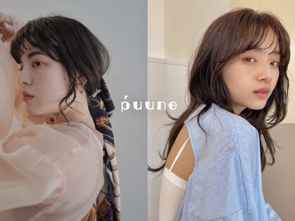 プーネ(puune)の写真