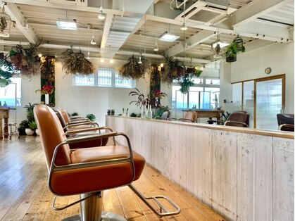 パイロヘアー(Pairo hair)の写真