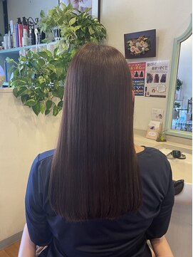 セントジョージ ロングヘア