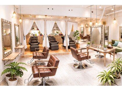 シェリー(cherie)の写真