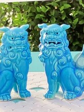 ポロ(POLO) Nagahama