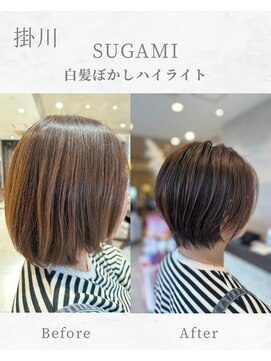 スガミ(SUGAMI) 白髪ぼかしハイライト