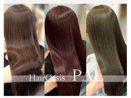 パル(PAL)の写真