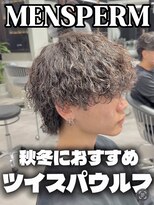 ステラ(STELLA)&nbsp;メンズパーマ/メンズカット/眉毛サロン/ツイストスパイラル