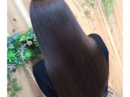 クレマチス(Clematis)の写真