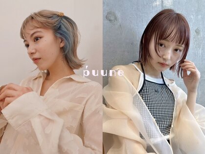 プーネ(puune)の写真