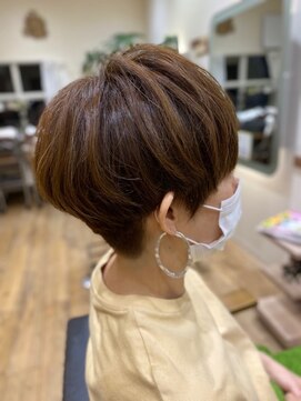 アルファガーデン(alpha garden) ３０代４０代５０代　きのこマッシュ