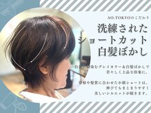 アオトーキョー 二子玉川(ao.tokyo)