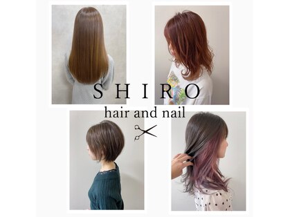 シロ(SHIRO)の写真